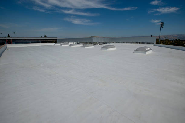 Best Roof Moss and Algae Removal  in New Hope, OR